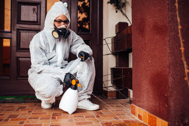 Attic and Crawl Space Rodent Treatment in Henryville