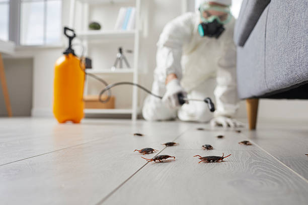 Commercial Rodent Management in Henryville